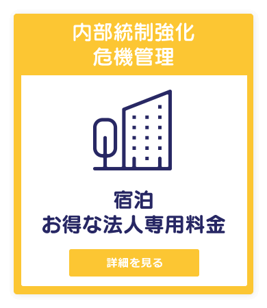 visual_item11