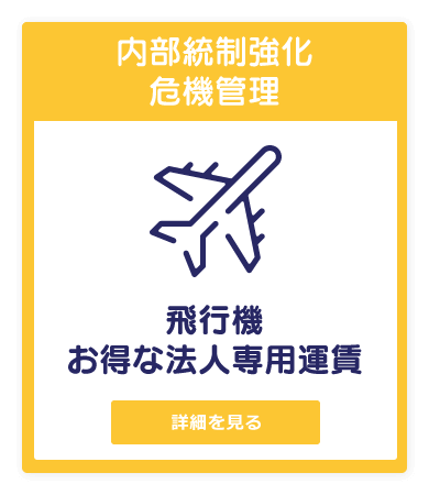 visual_item12
